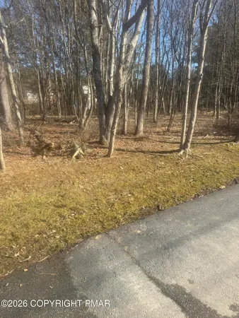 a view of a yard with trees