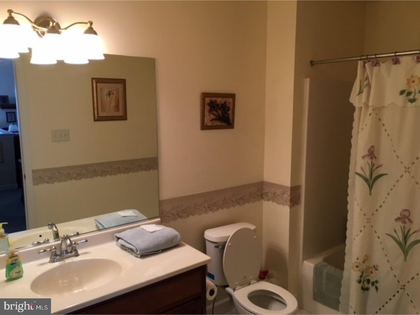 54 Michigan Drive Sinking Spring, PA 19608 - Photo 11 of 17 Bathroom