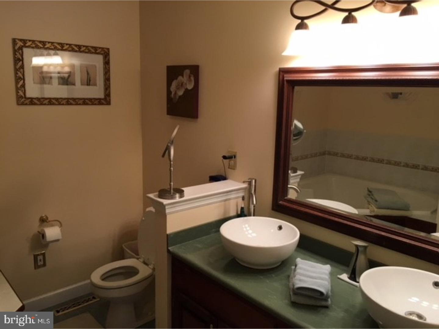 54 Michigan Drive Sinking Spring, PA 19608 - Photo 16 of 17 Master Bathroom