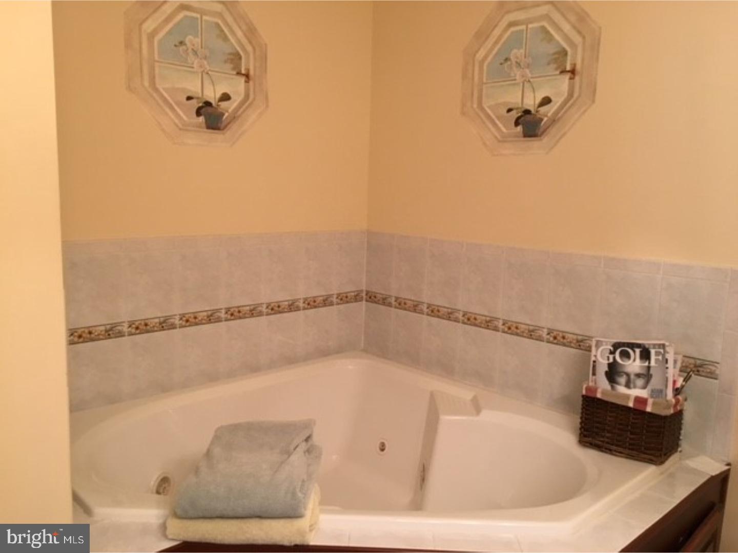 54 Michigan Drive Sinking Spring, PA 19608 - Photo 17 of 17 Master Bathroom