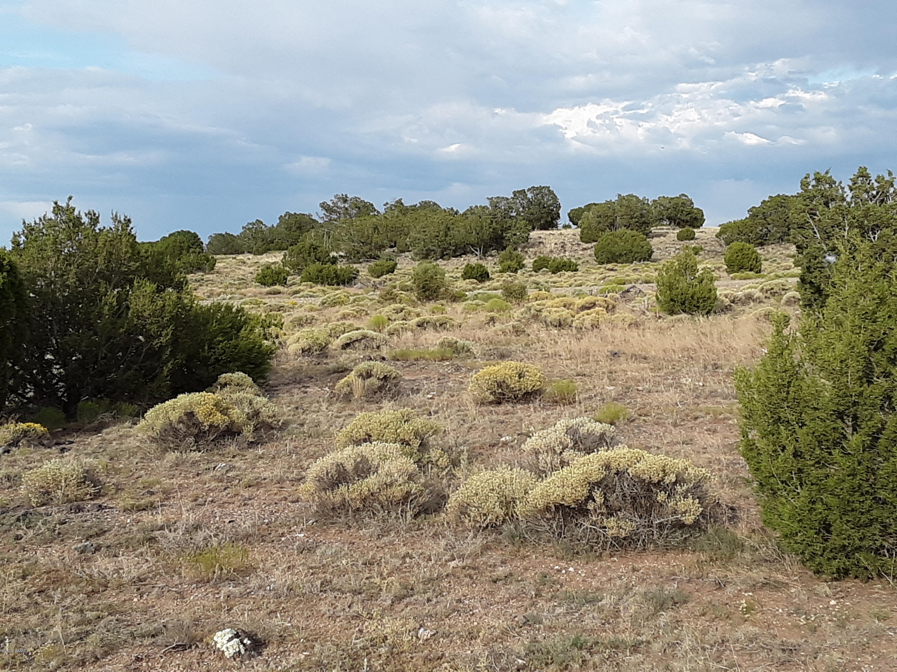 Lot #112 Windsor Valley Ranch Concho, AZ 85924 - Photo 11 of 26
