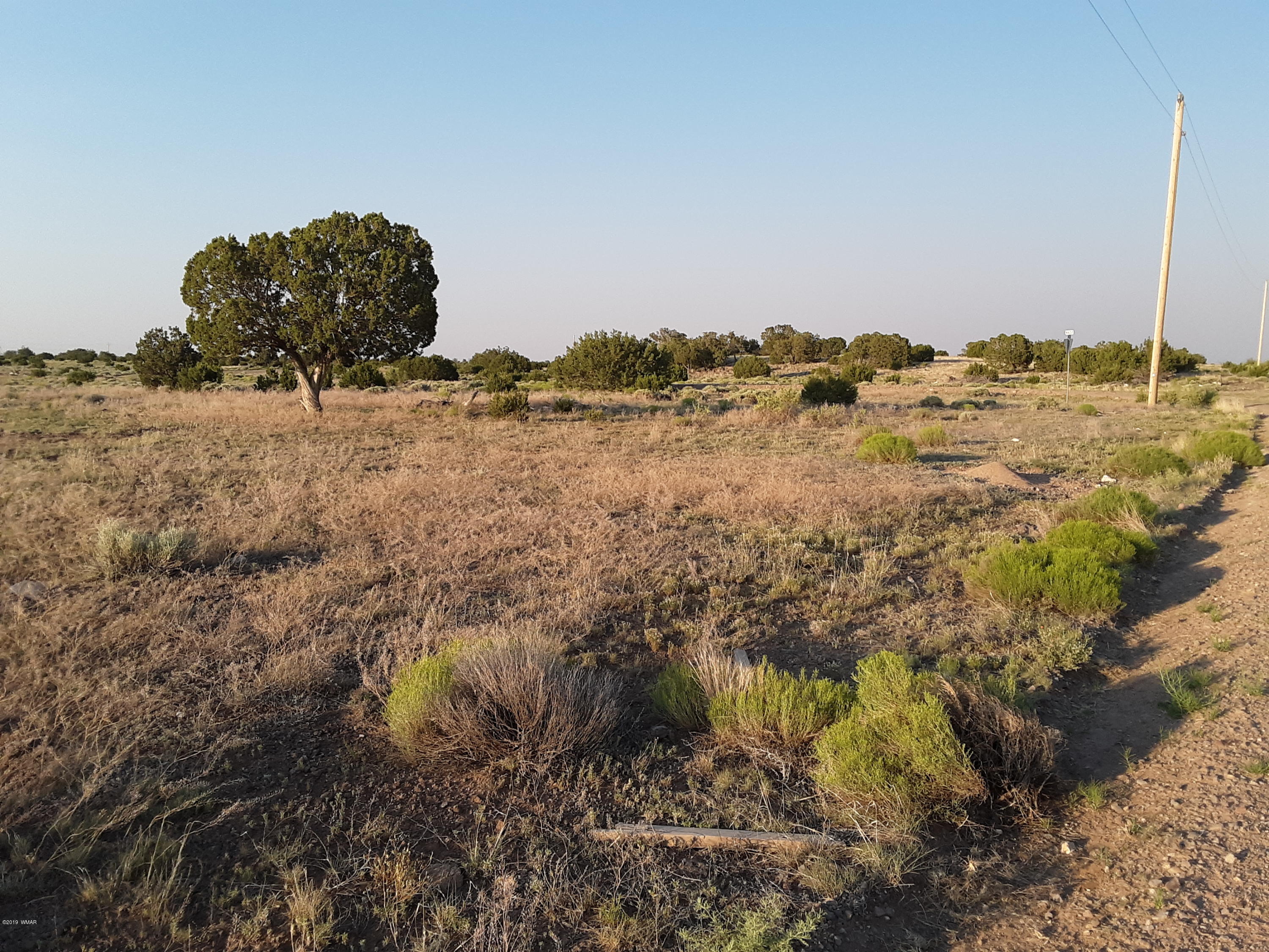Lot #112 Windsor Valley Ranch Concho, AZ 85924 - Photo 14 of 26