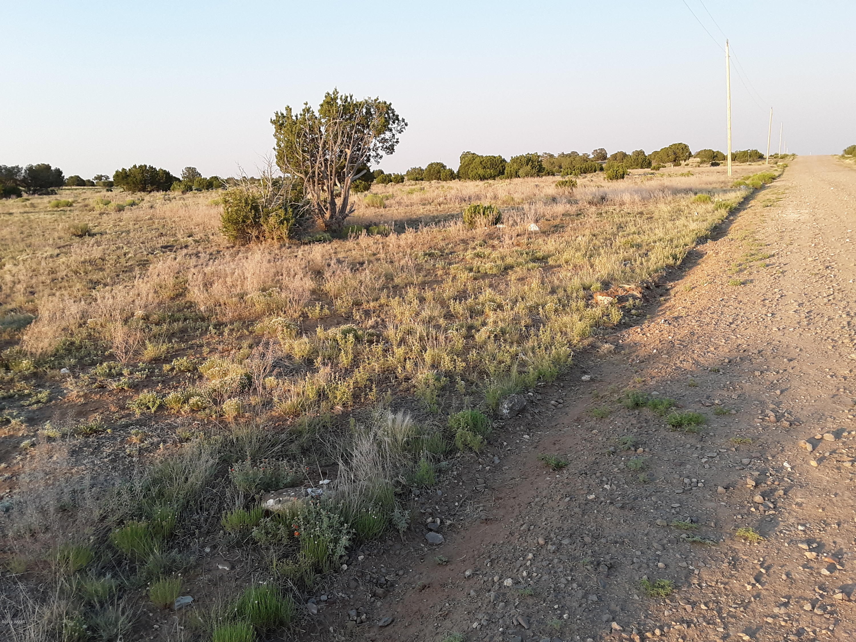 Lot #112 Windsor Valley Ranch Concho, AZ 85924 - Photo 16 of 26