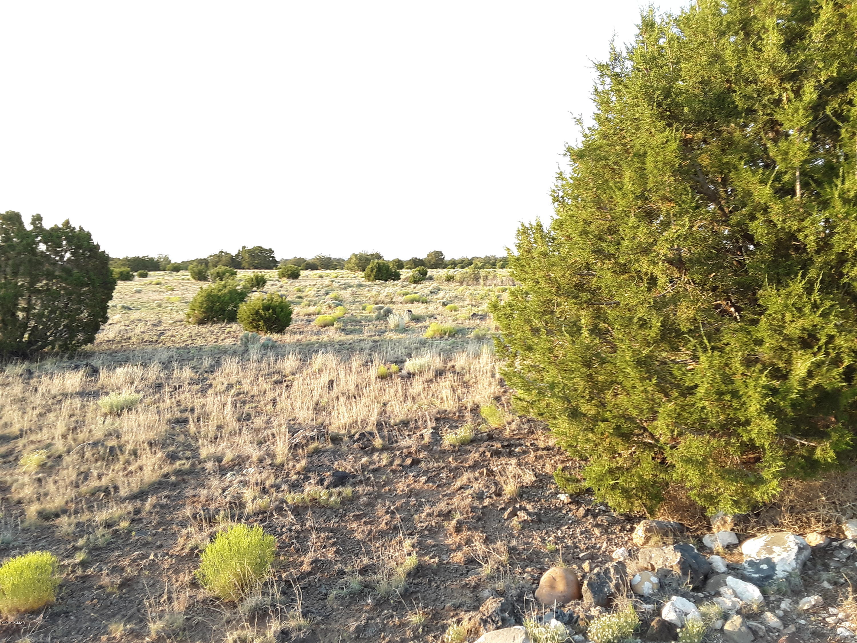 Lot #112 Windsor Valley Ranch Concho, AZ 85924 - Photo 17 of 26