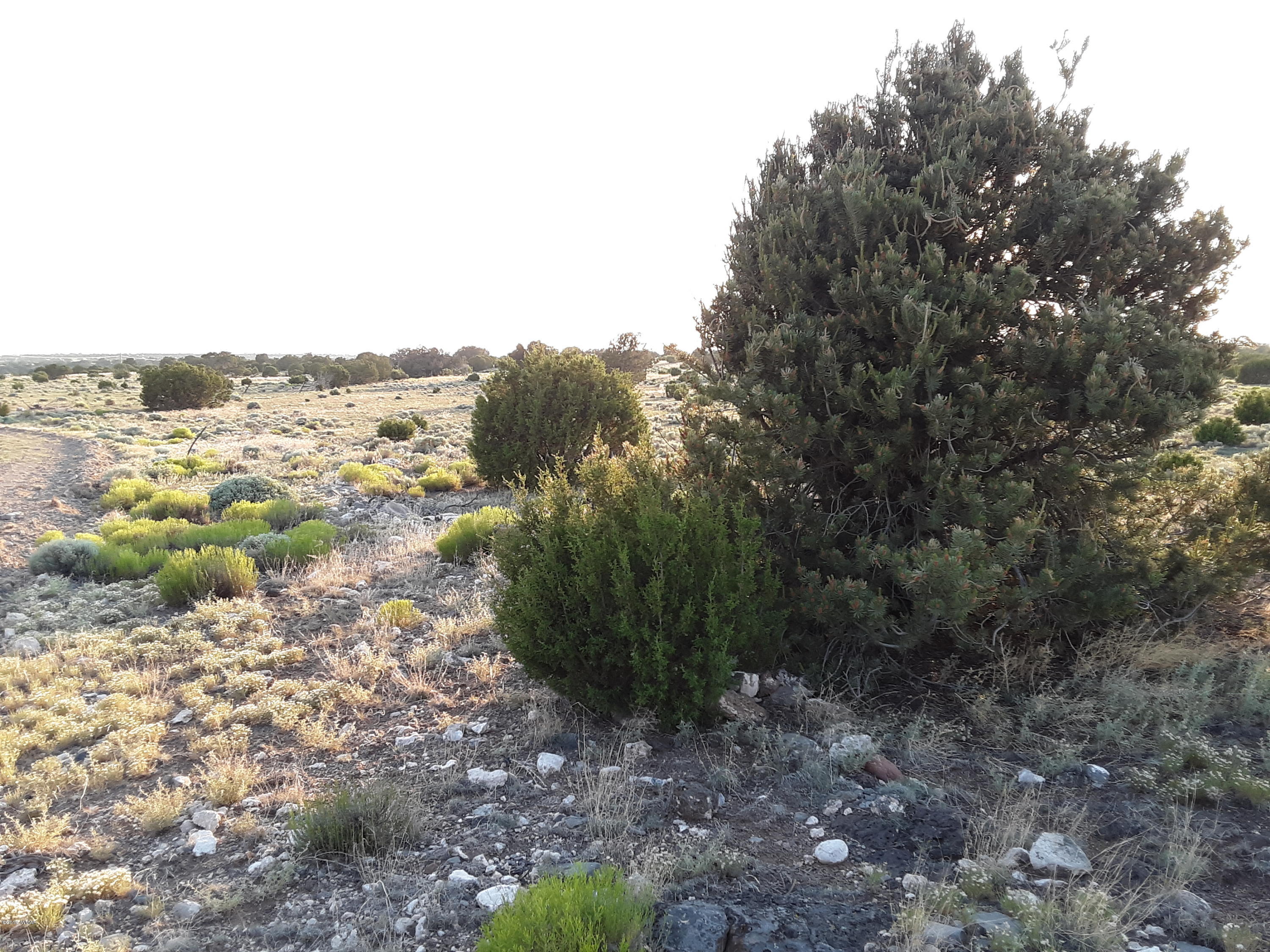 Lot #112 Windsor Valley Ranch Concho, AZ 85924 - Photo 18 of 26