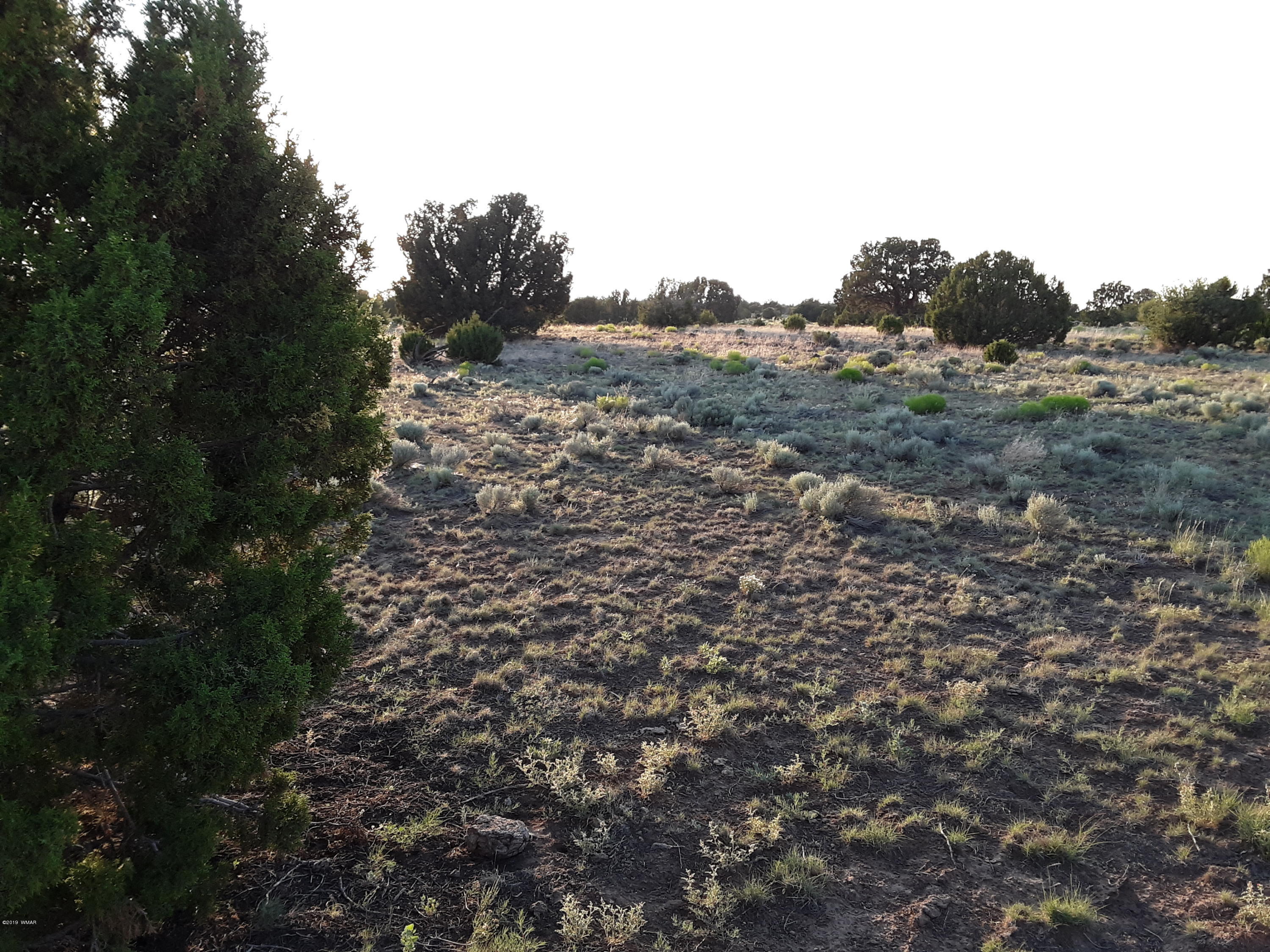 Lot #112 Windsor Valley Ranch Concho, AZ 85924 - Photo 19 of 26