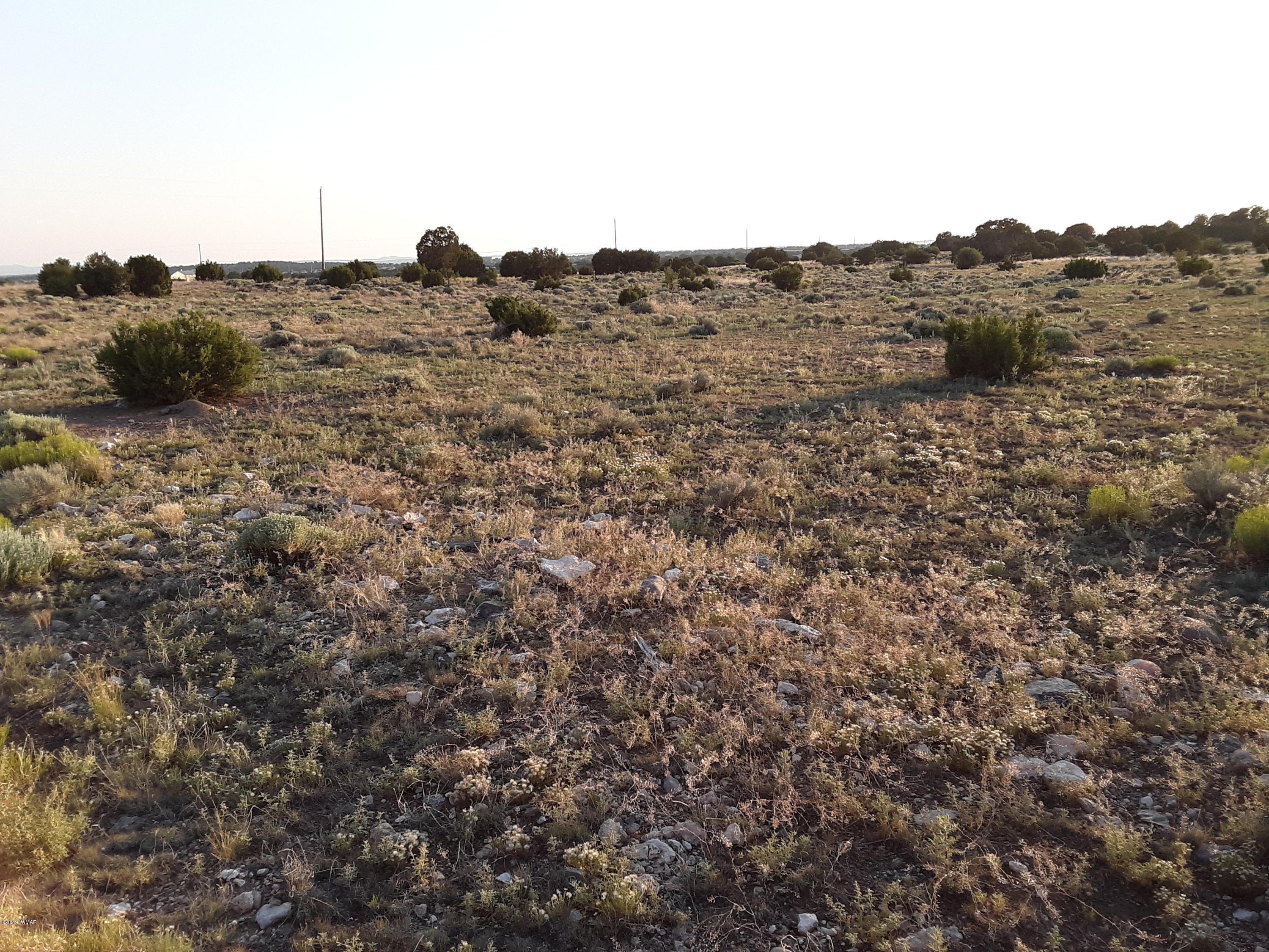 Lot #112 Windsor Valley Ranch Concho, AZ 85924 - Photo 20 of 26