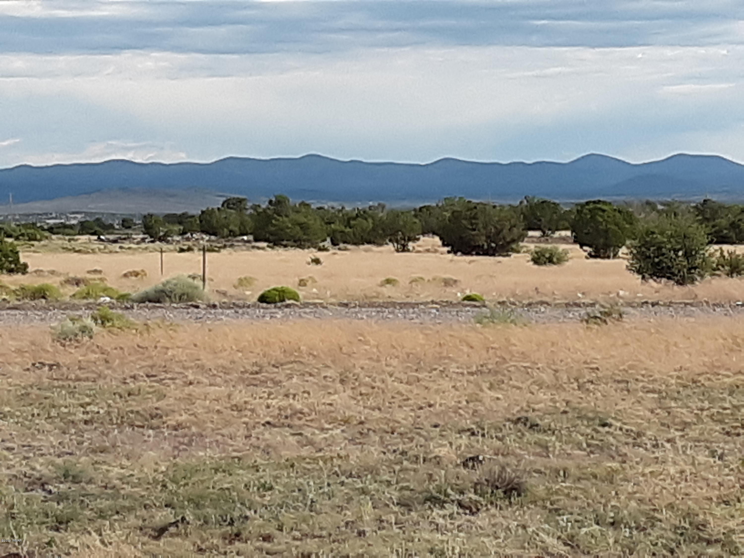Lot #112 Windsor Valley Ranch Concho, AZ 85924 - Photo 2 of 26