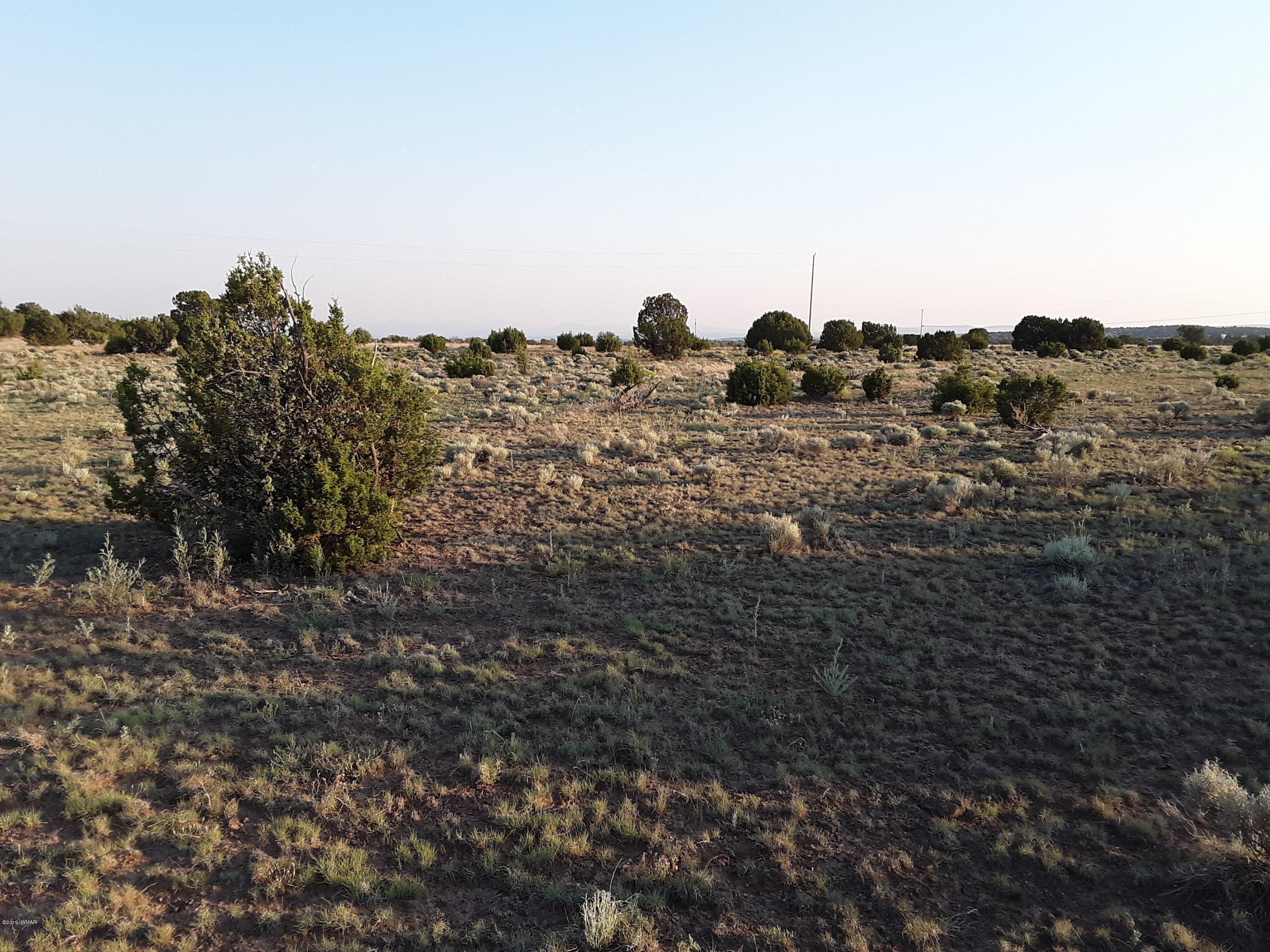 Lot #112 Windsor Valley Ranch Concho, AZ 85924 - Photo 21 of 26