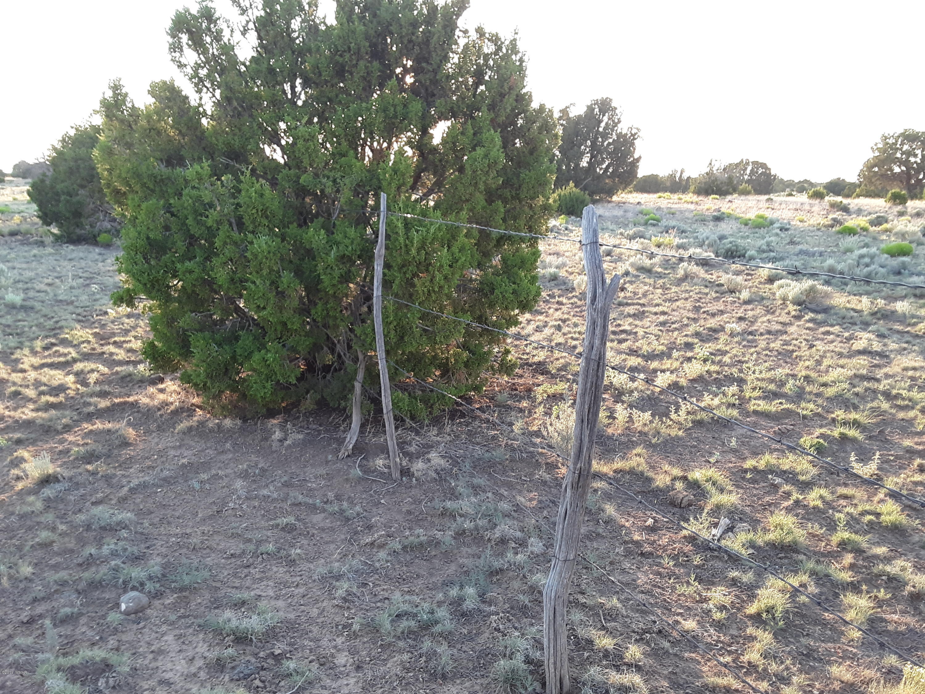 Lot #112 Windsor Valley Ranch Concho, AZ 85924 - Photo 22 of 26