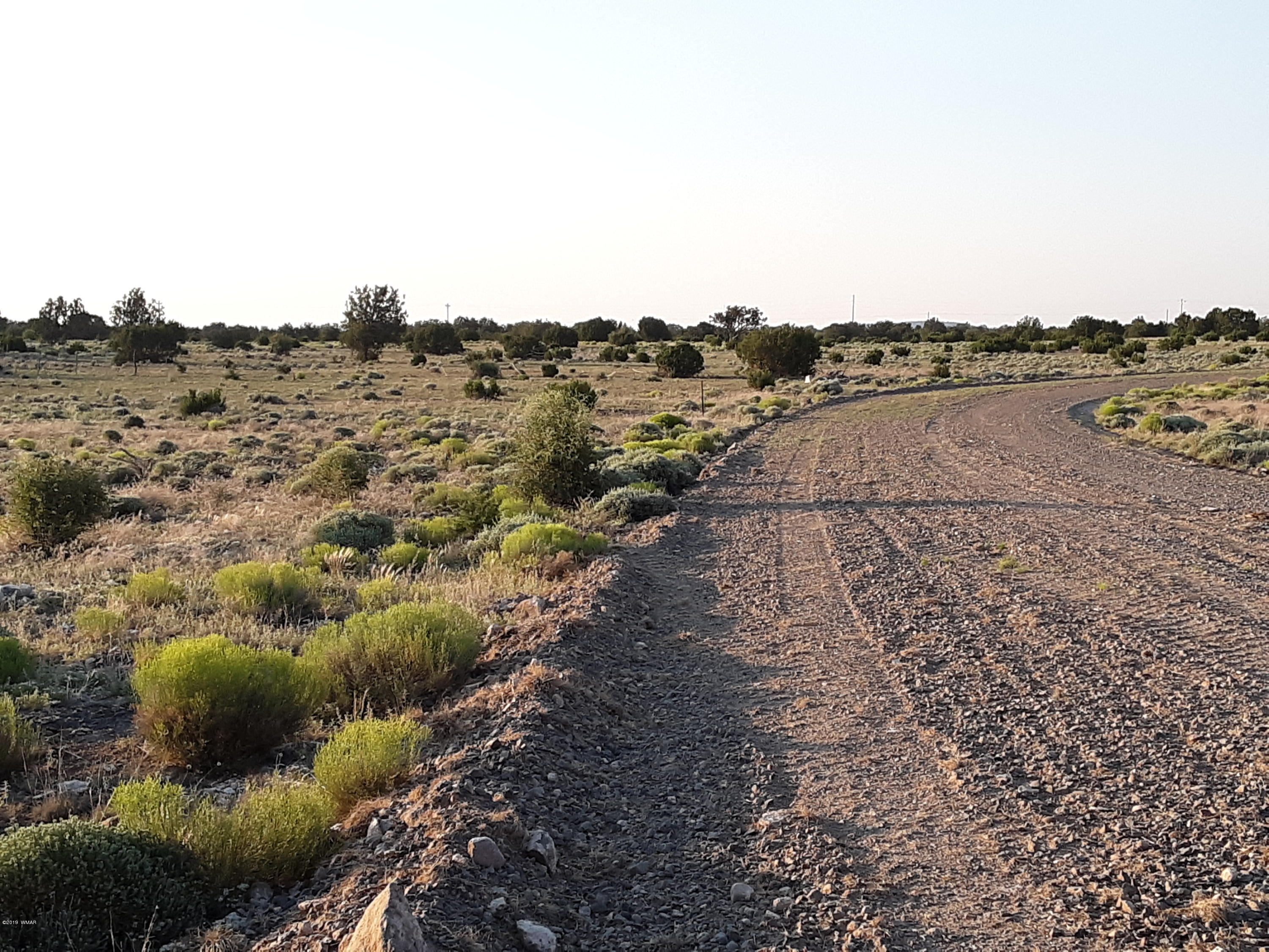 Lot #112 Windsor Valley Ranch Concho, AZ 85924 - Photo 23 of 26