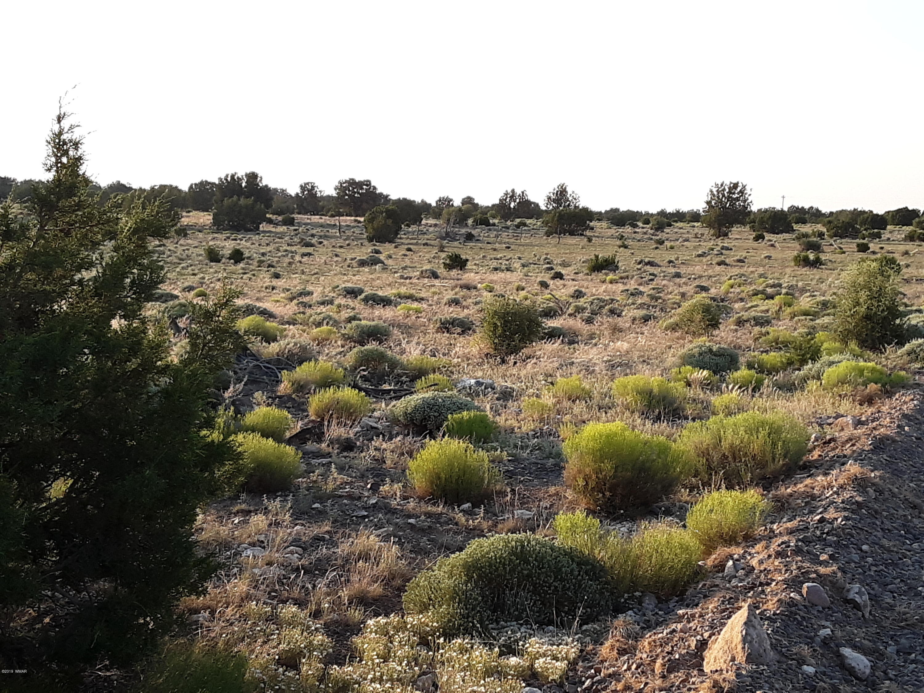 Lot #112 Windsor Valley Ranch Concho, AZ 85924 - Photo 24 of 26