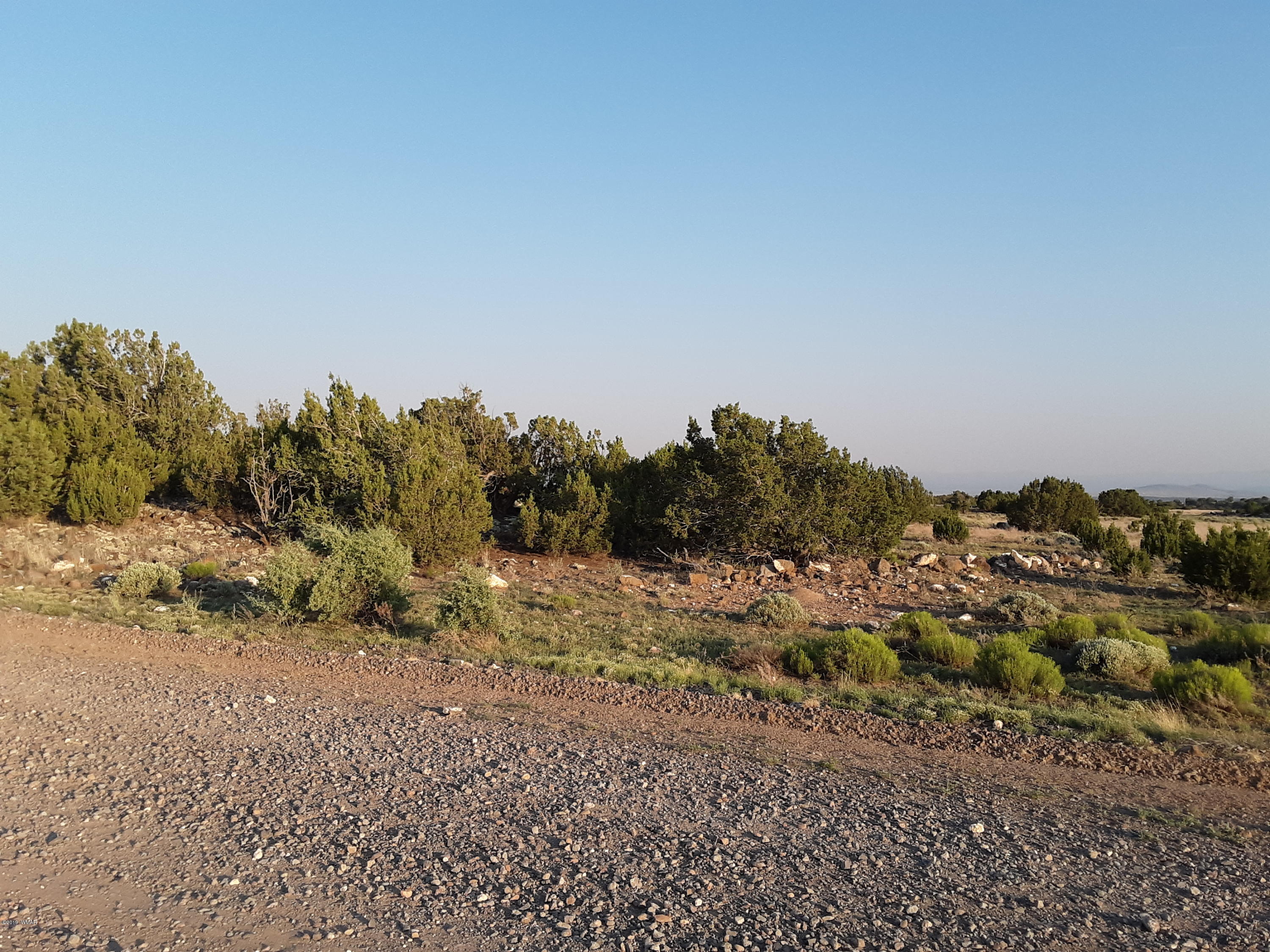 Lot #112 Windsor Valley Ranch Concho, AZ 85924 - Photo 25 of 26