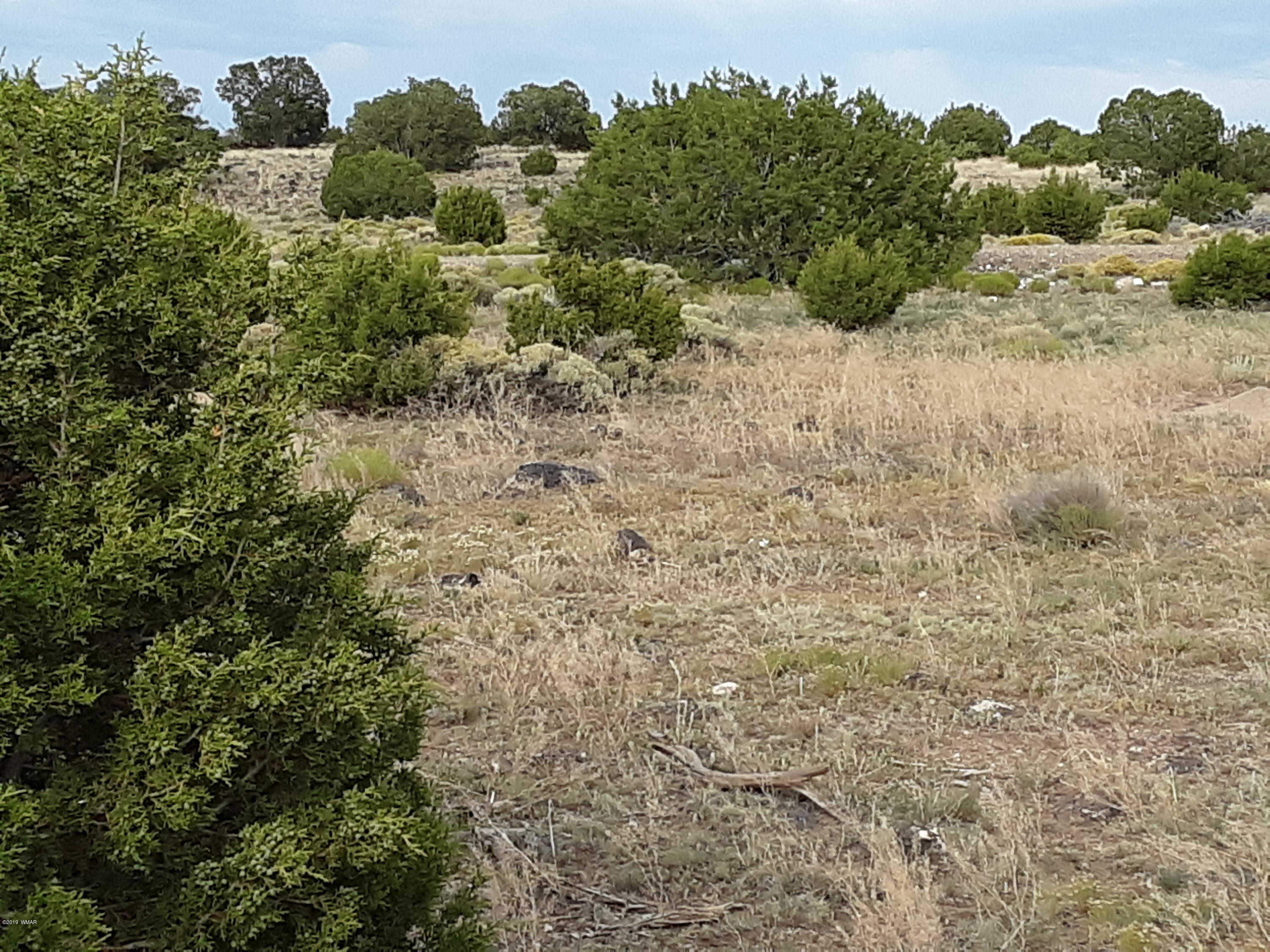 Lot #112 Windsor Valley Ranch Concho, AZ 85924 - Photo 26 of 26