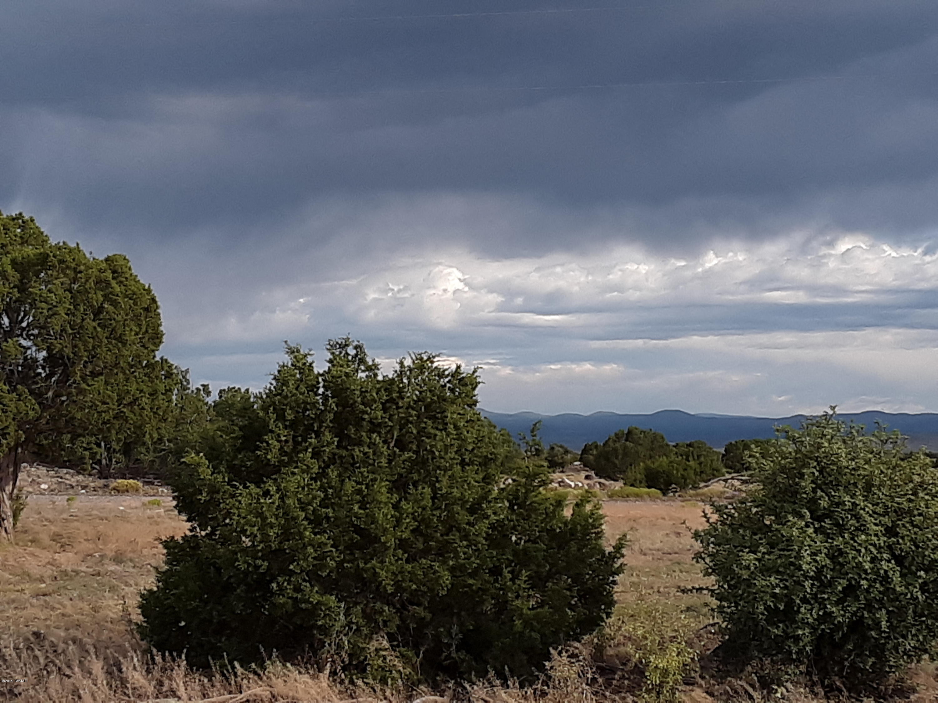 Lot #112 Windsor Valley Ranch Concho, AZ 85924 - Photo 4 of 26