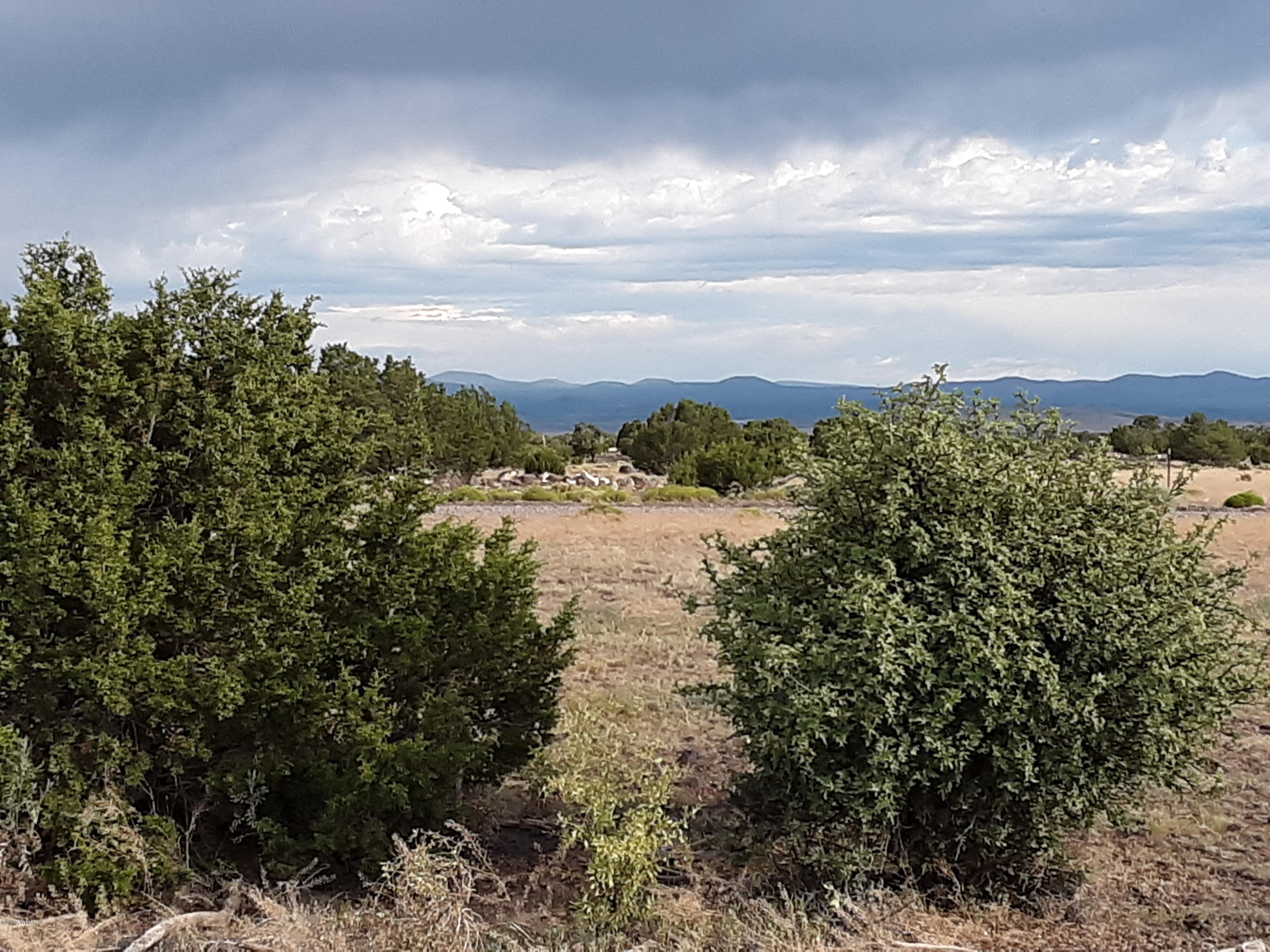 Lot #112 Windsor Valley Ranch Concho, AZ 85924 - Photo 5 of 26