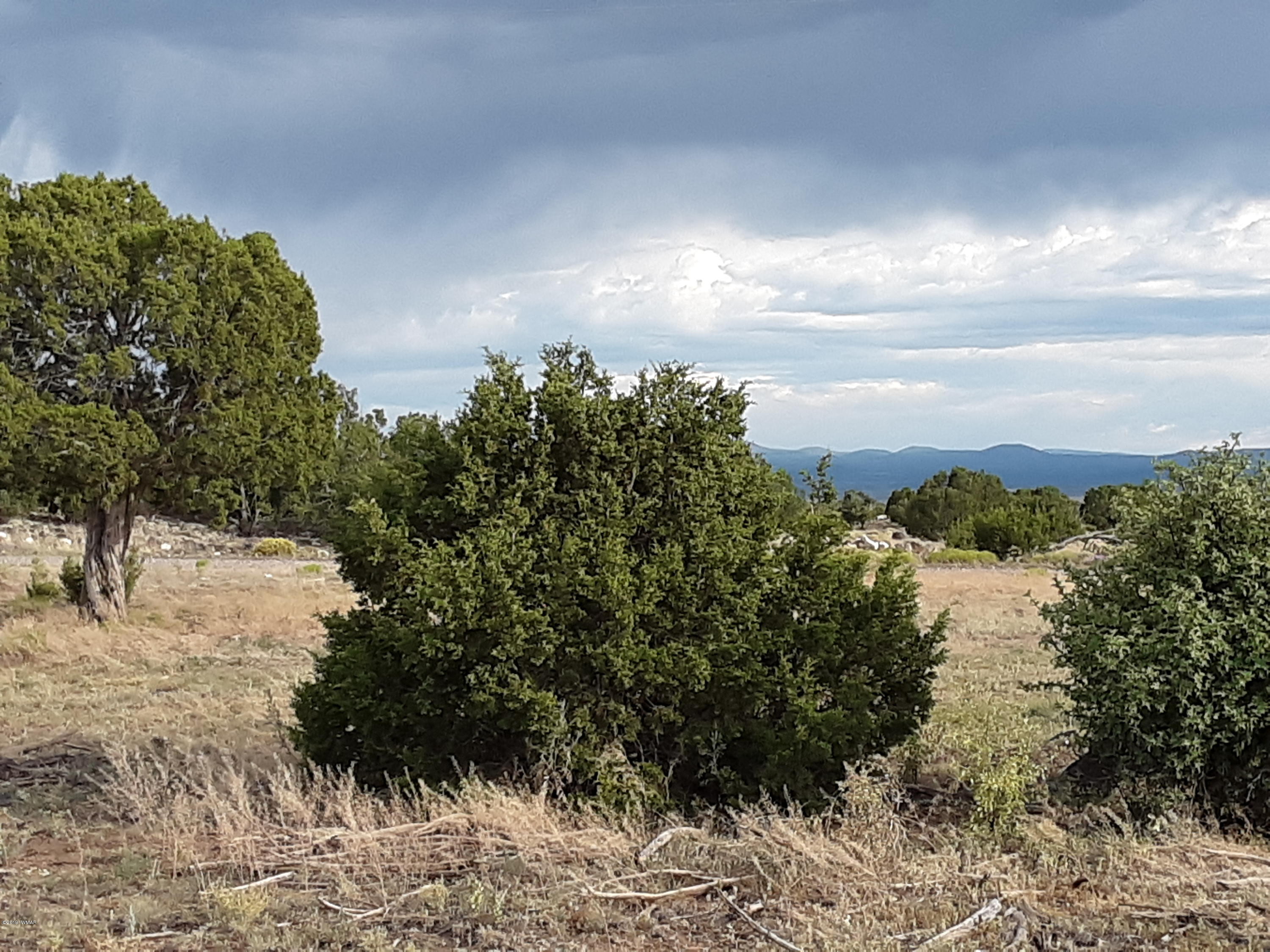 Lot #112 Windsor Valley Ranch Concho, AZ 85924 - Photo 6 of 26