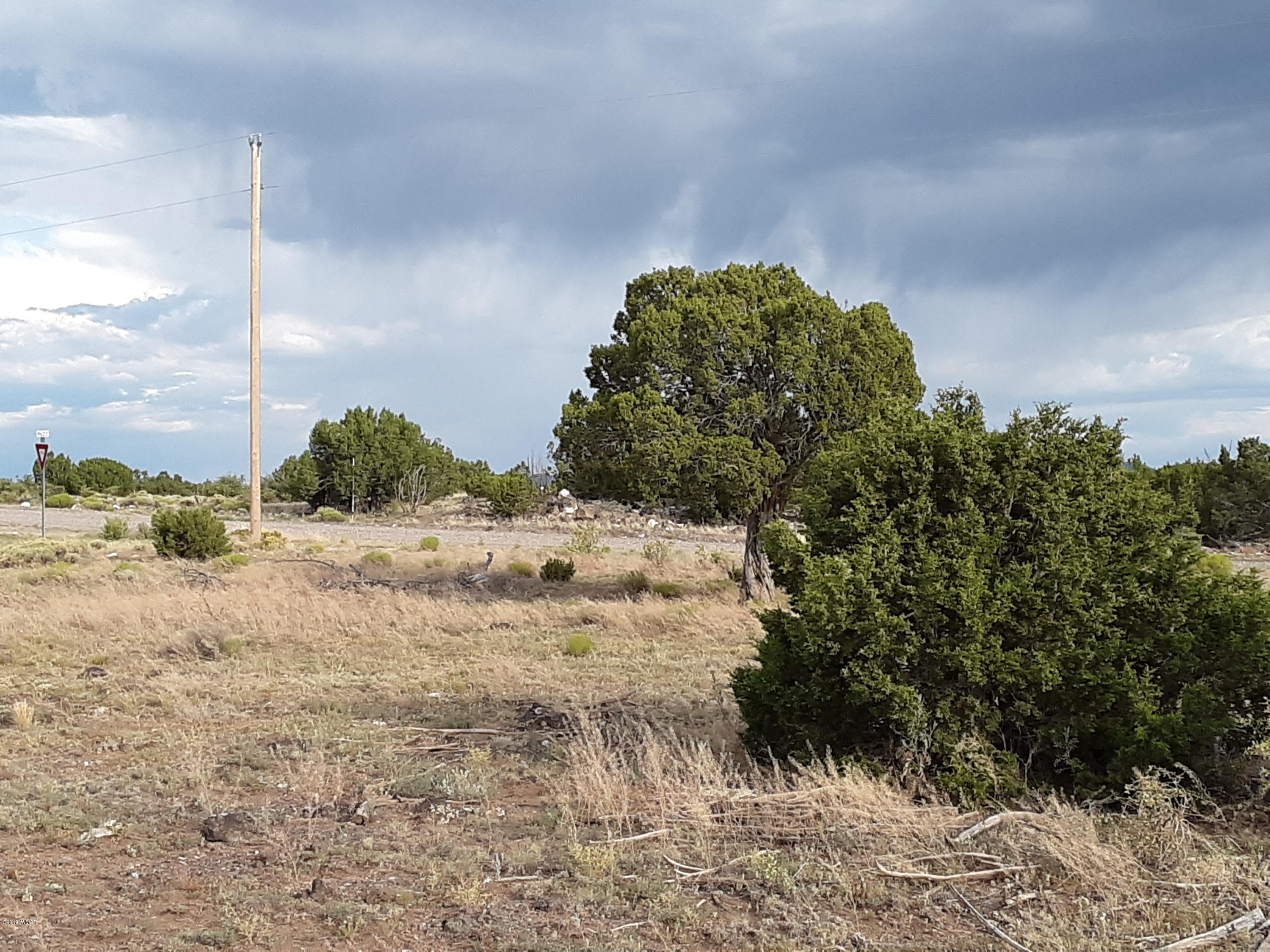 Lot #112 Windsor Valley Ranch Concho, AZ 85924 - Photo 7 of 26