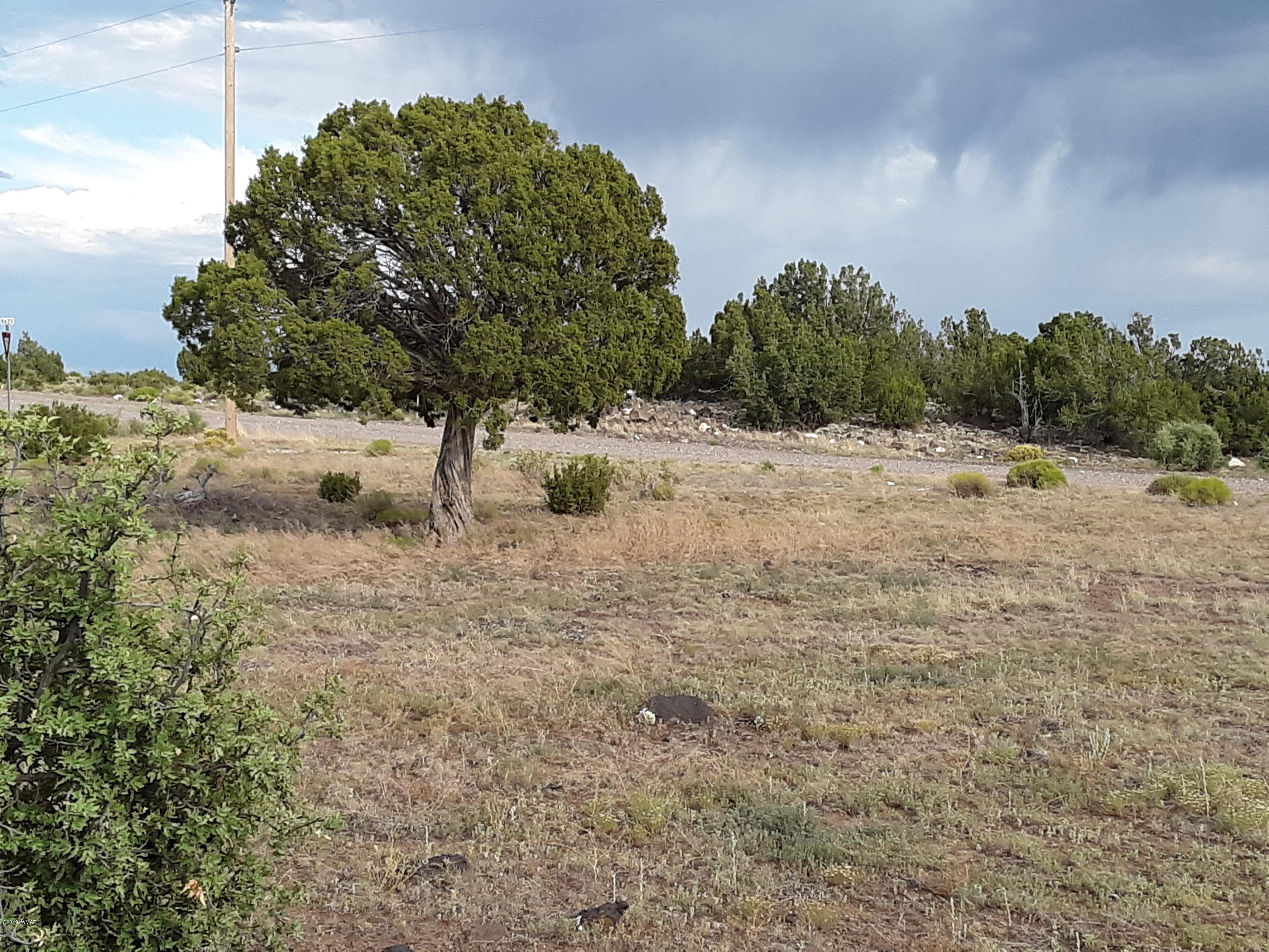 Lot #112 Windsor Valley Ranch Concho, AZ 85924 - Photo 8 of 26