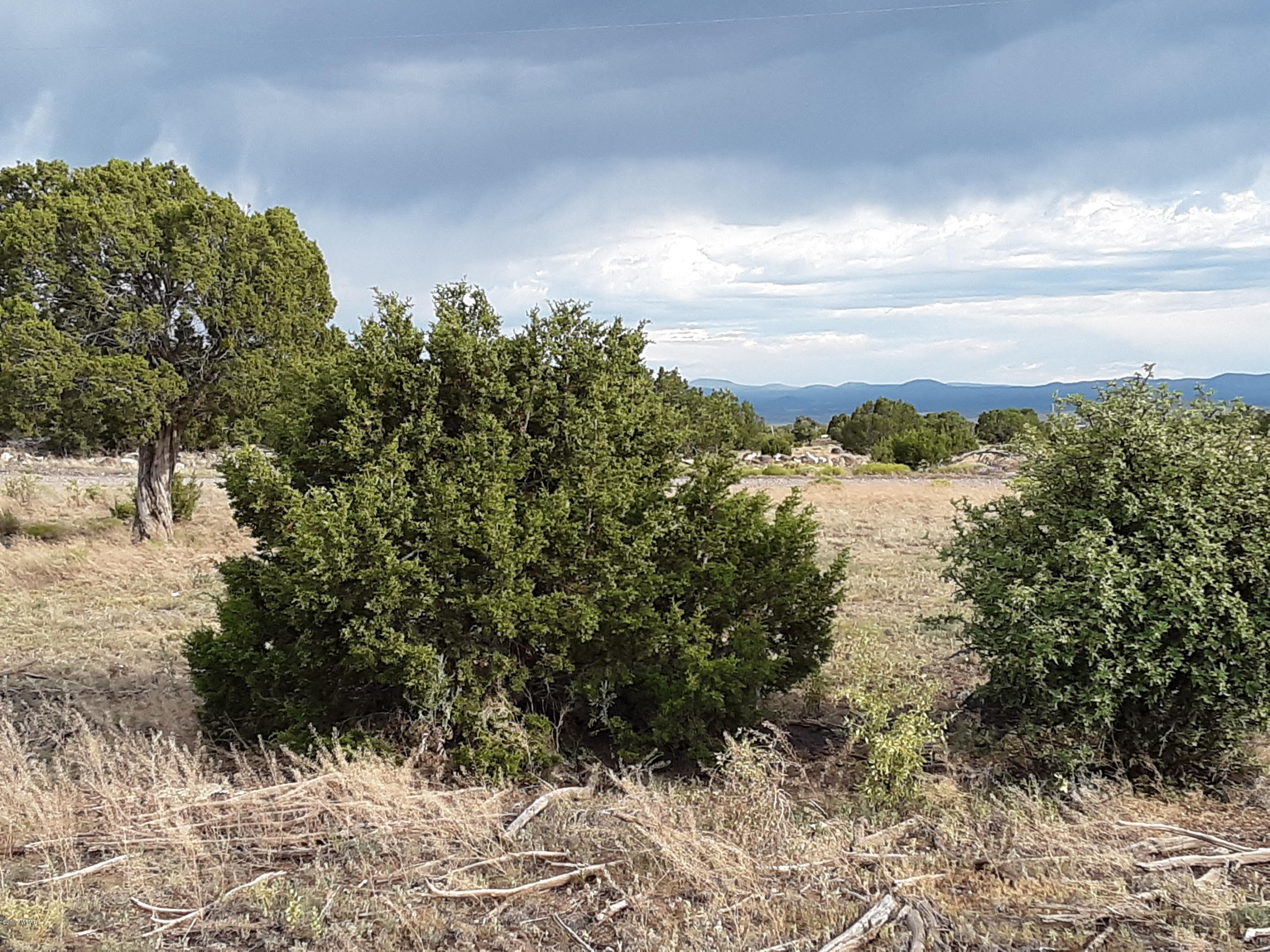 Lot #112 Windsor Valley Ranch Concho, AZ 85924 - Photo 9 of 26
