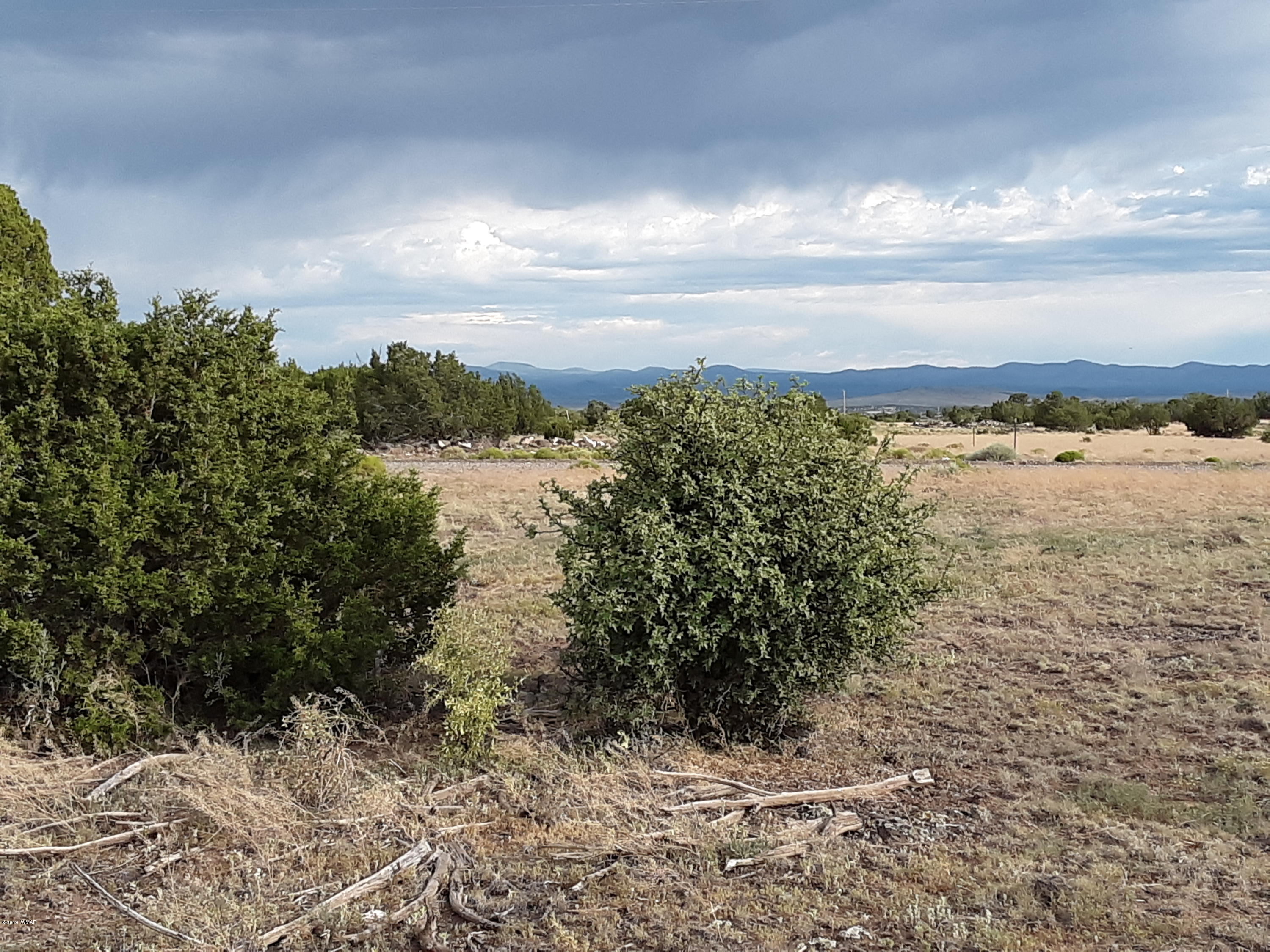 Lot #112 Windsor Valley Ranch Concho, AZ 85924 - Photo 10 of 26