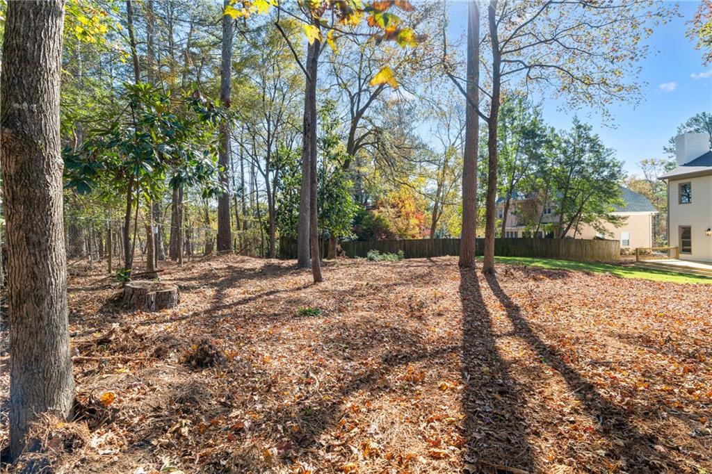 11125 Linbrook Lane Duluth, GA 30097 - Photo 51 of 51 a view of a yard with trees