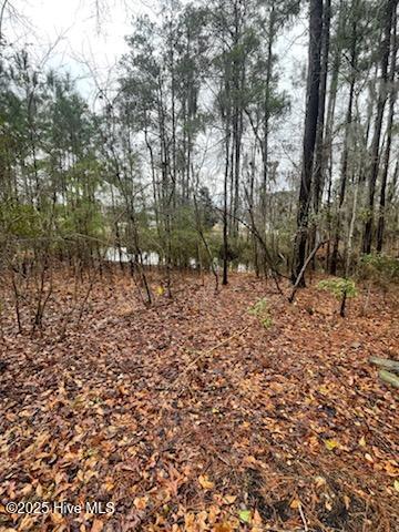 0 Long Point Landing Road Chocowinity, NC 27817 - Photo 7 of 31 TOPOGRAPHY OF LOT