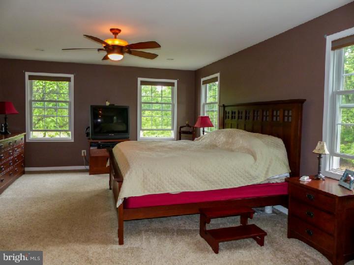 4933 Gayman Road Doylestown, PA 18902 - Photo 18 of 25 Master Bedroom