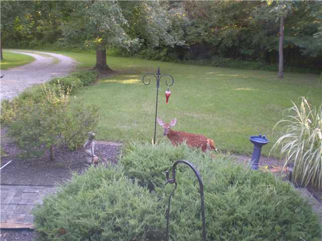 2277 Klondike Road Delaware, OH 43015 - Photo 22 of 23 Gallery Image 22