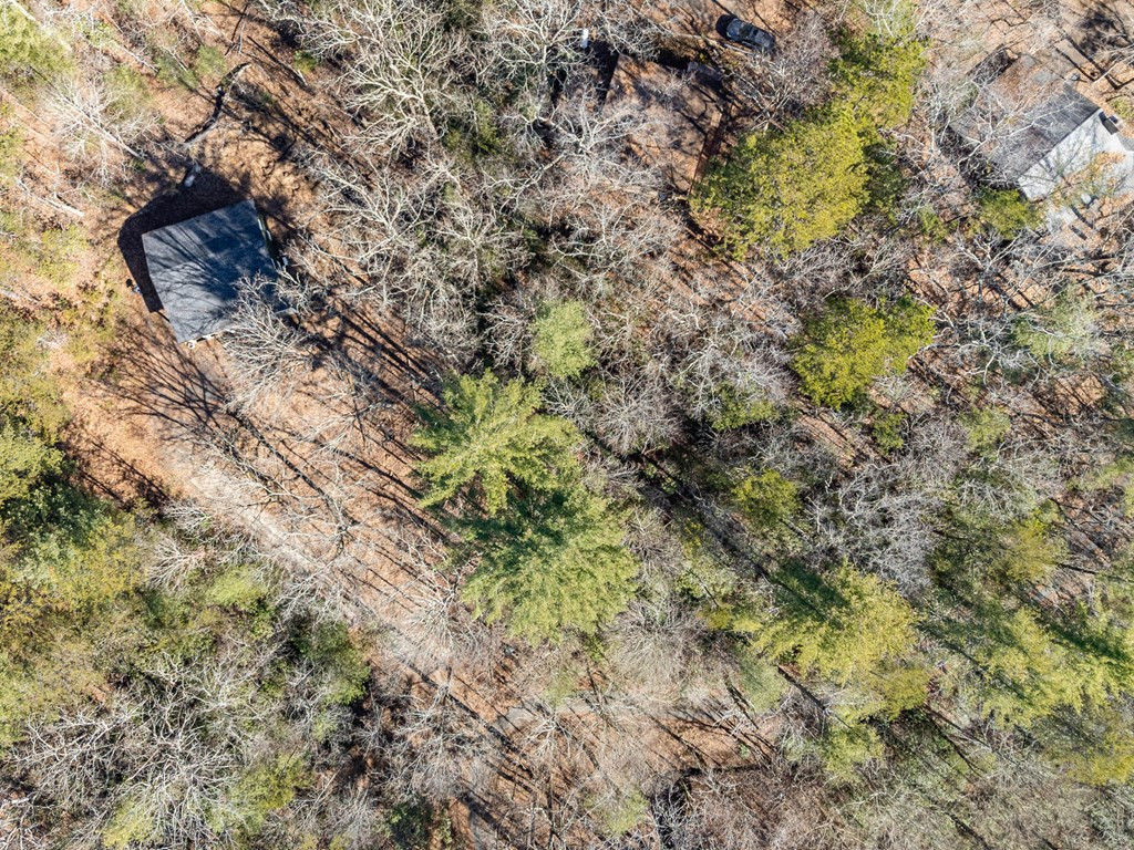 45 Mountain Stream Road Murphy, NC 28906 - Photo 35 of 43