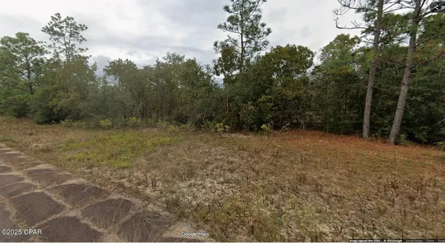 $6,300 | Lot 21 Lot Place, Chipley, FL 32428