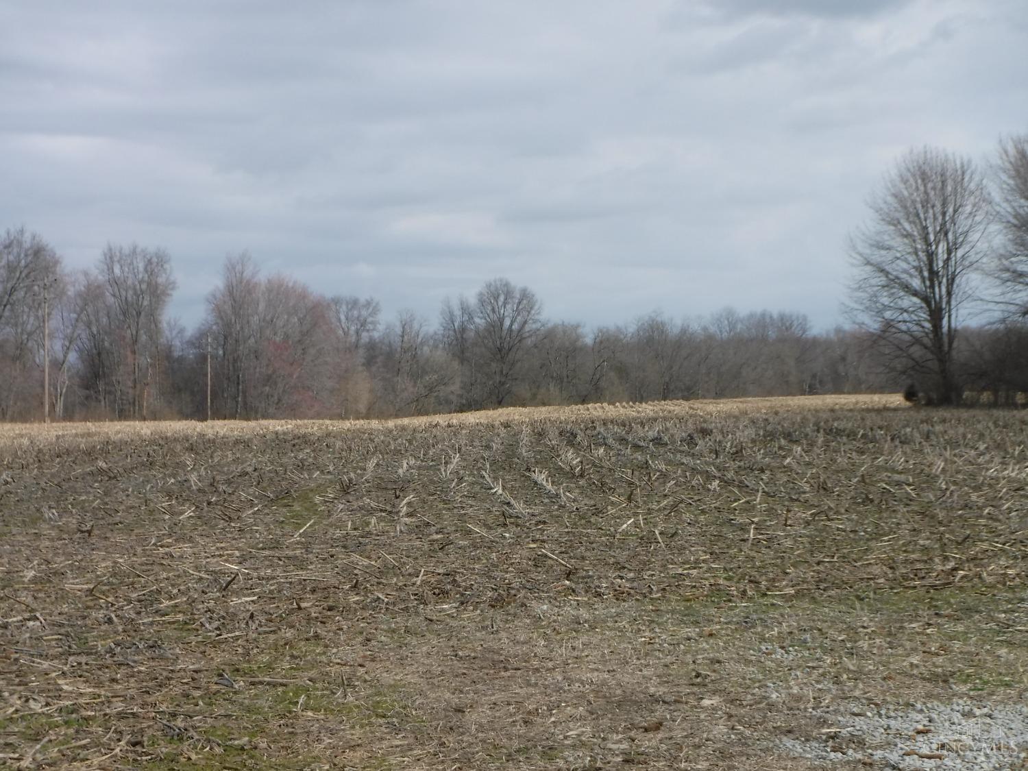 B Spring Grove Road Bethel, OH 45106 - Photo 3 of 5