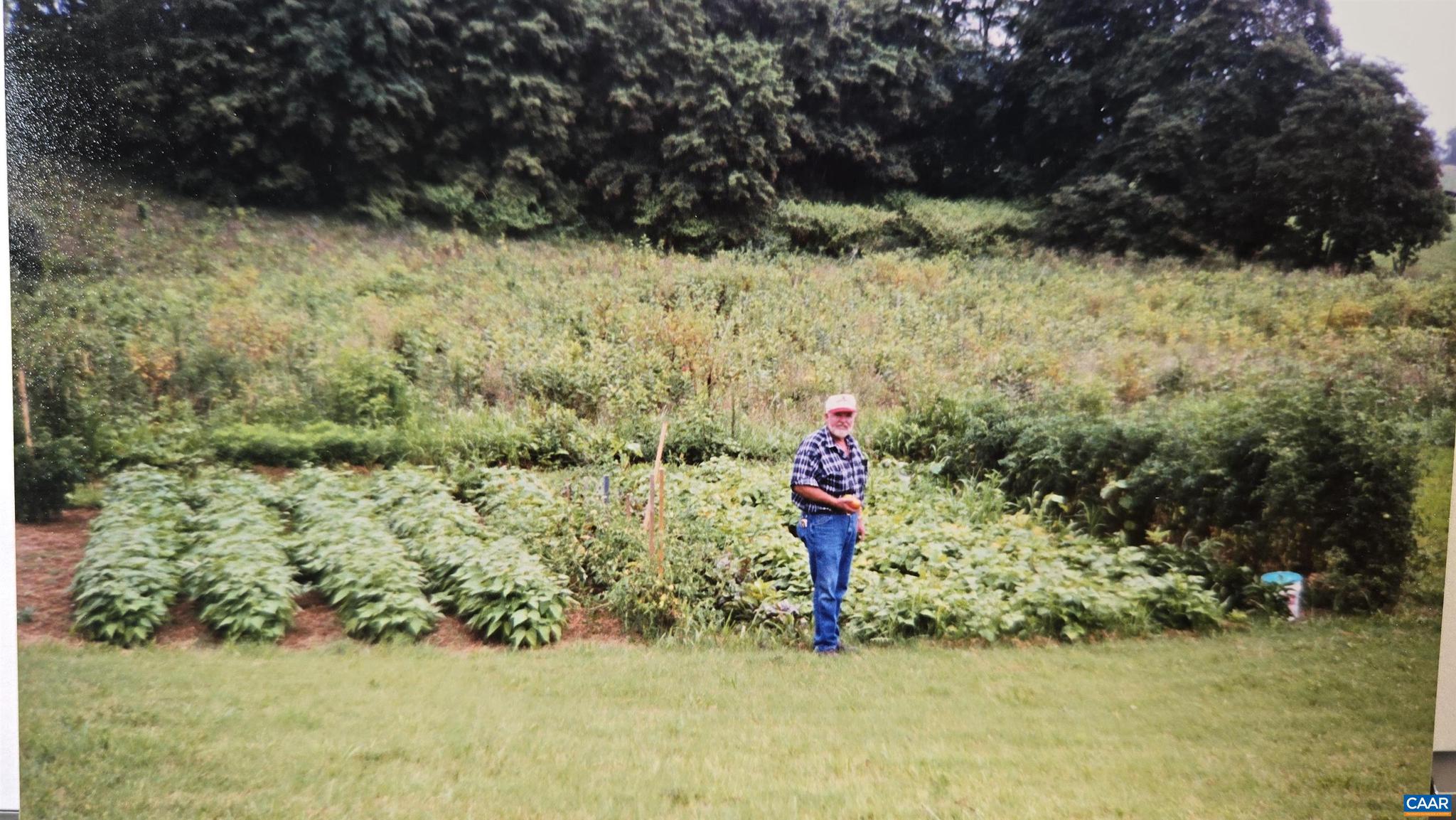 1821 Red Top Orchard Road Waynesboro, VA 22980 - Photo 56 of 75