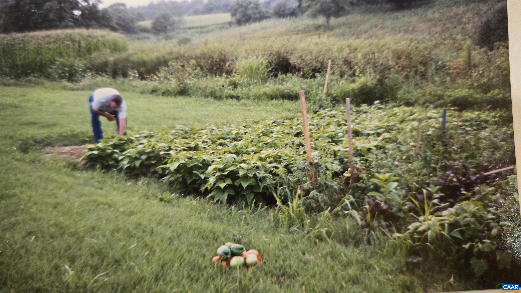 1821 Red Top Orchard Road Waynesboro, VA 22980 - Photo 58 of 75