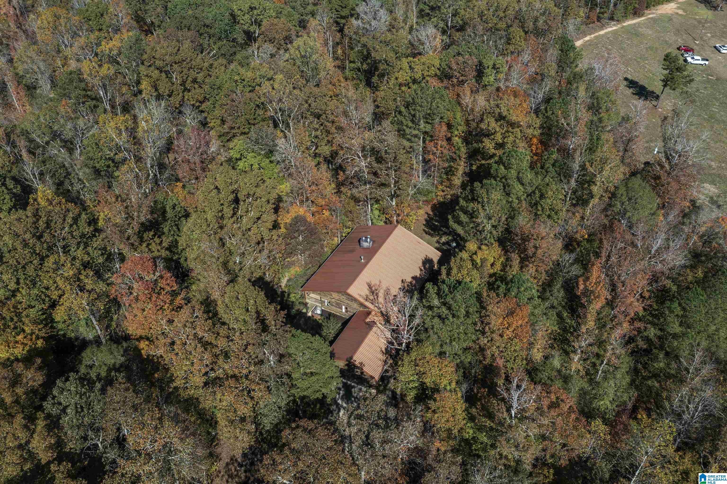 830 Turkey Ridge Road Ragland, AL 35131 - Photo 45 of 50
