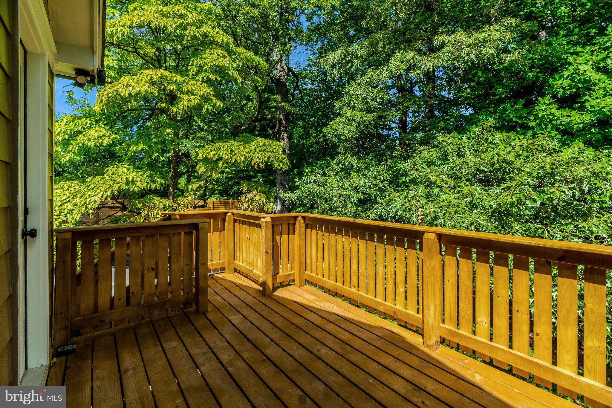 2539 Gallows Road Dunn Loring, VA 22027 - Photo 51 of 56 Rear Deck