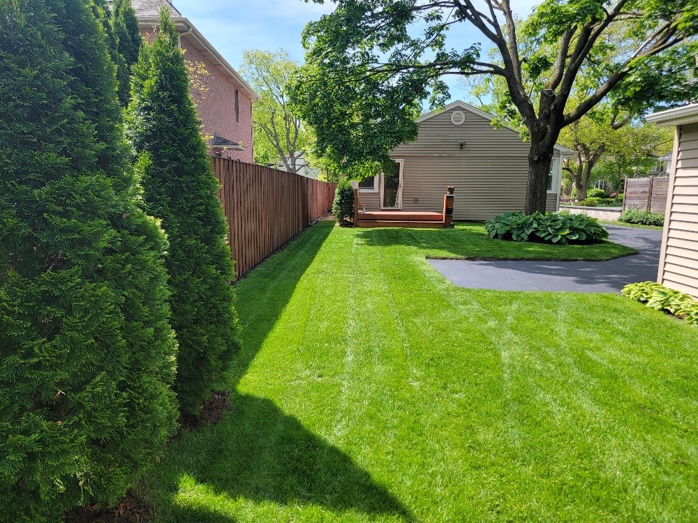 229 Fuller Road Hinsdale, IL 60521 - Photo 19 of 20
