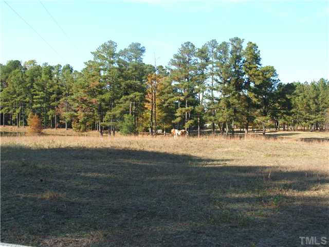 Applewhite Road Wendell, NC 27591 - Photo 12 of 13 Photo 12