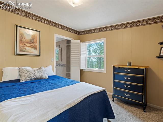 103 Alpine Road Woodland Park, CO 80863 - Photo 43 of 47 Gallery Image 43
