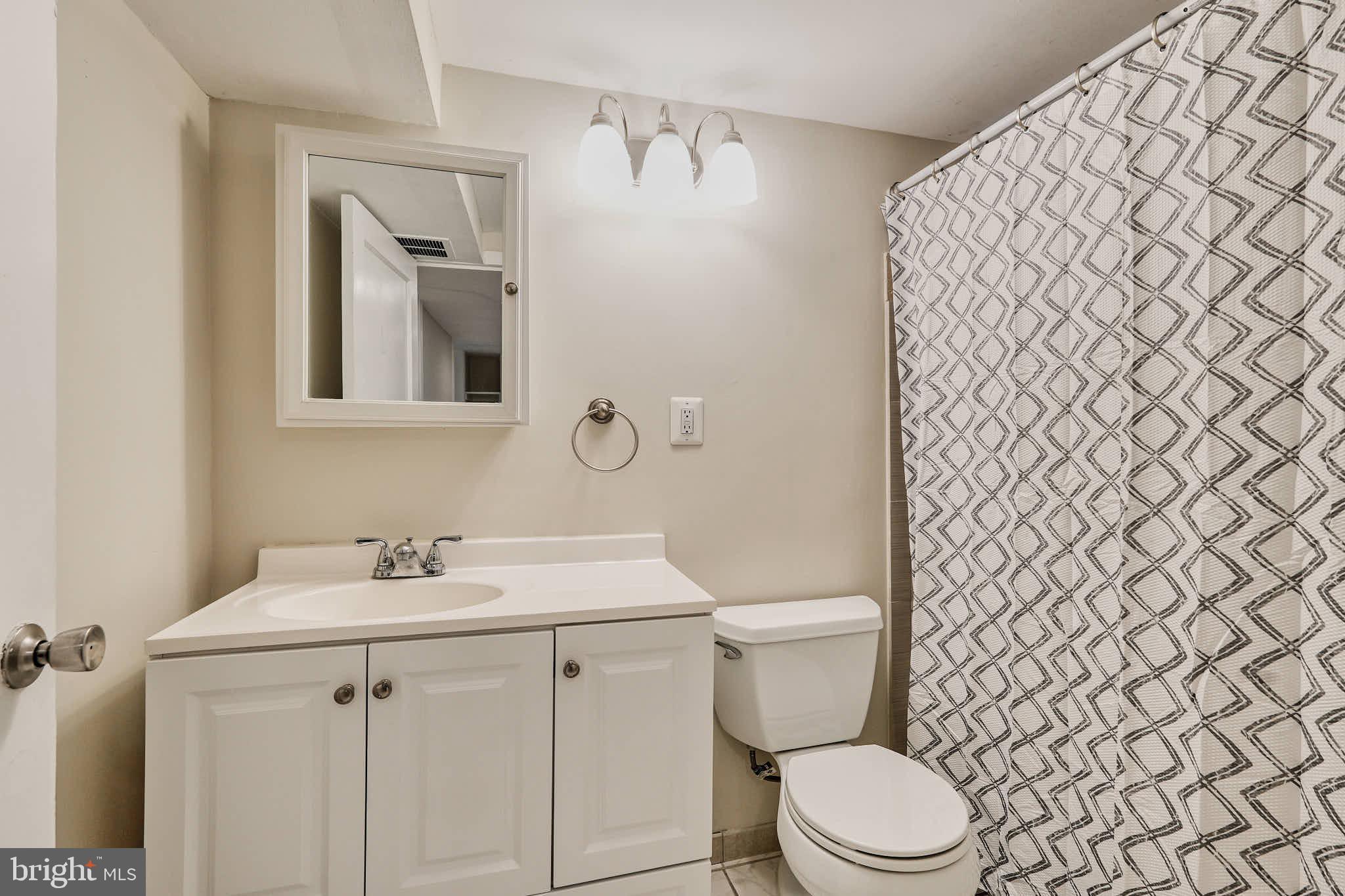 3318 Memorial Street Alexandria, VA 22306 - Photo 23 of 49 a bathroom with a sink a toilet and mirror