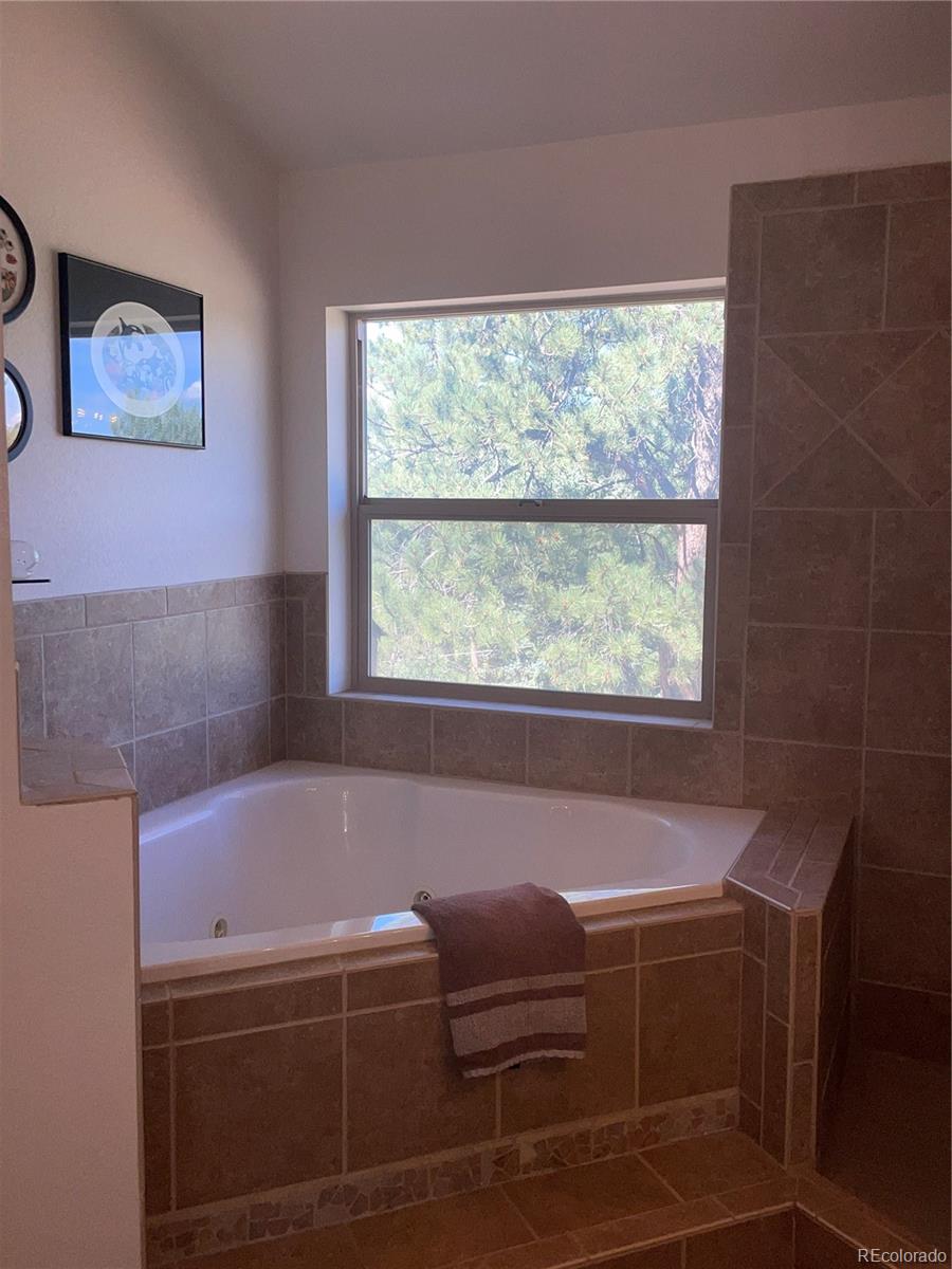 3943 Co Road Florissant, CO 80816 - Photo 21 of 37 Gallery Image 21