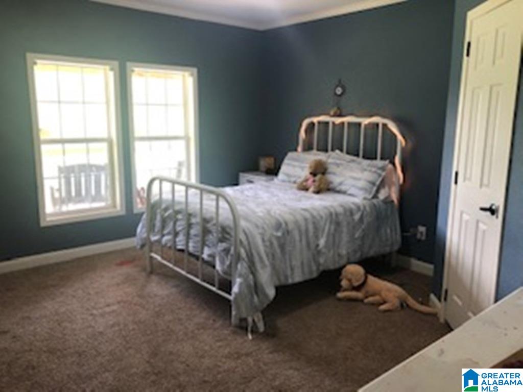 275 Manning Road Pell City, AL 35125 - Photo 10 of 38