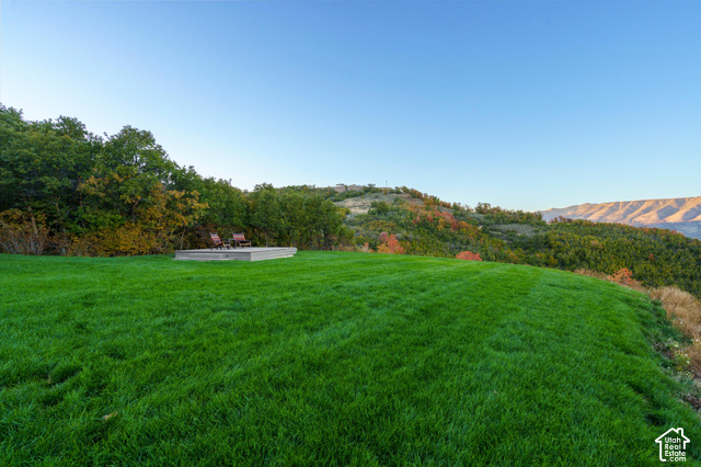 5878 Snowbasin Road Huntsville, UT 84317 - Photo 56 of 90 Expansive lawn with a raised concrete patio and mature trees