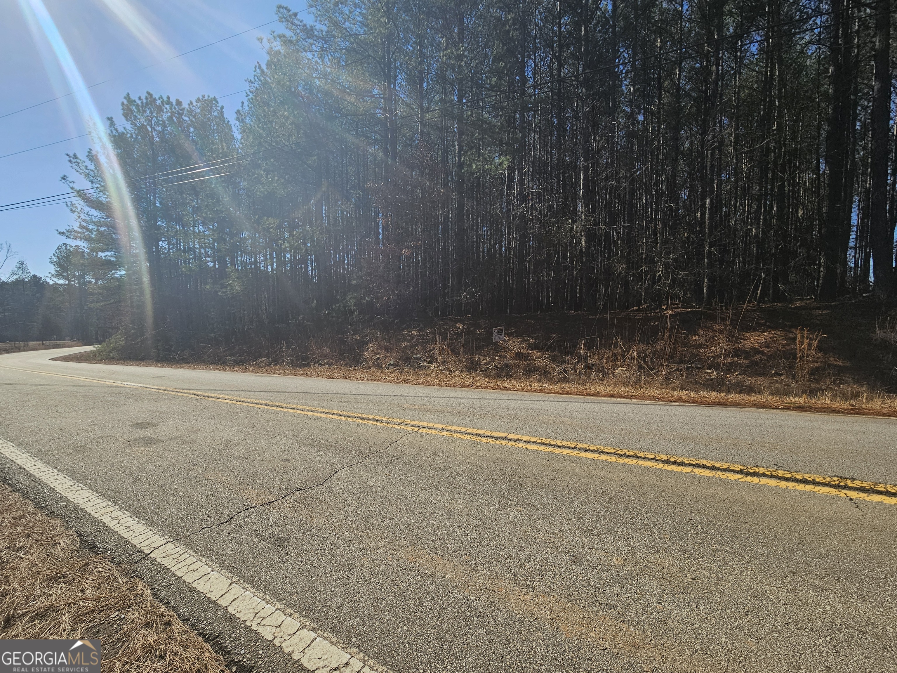 884 Swilling Road Eastanollee, GA 30538 - Photo 4 of 5