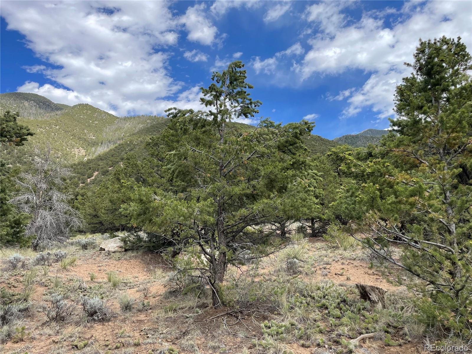 4303 Fallen Tree Way Crestone, CO 81131 - Photo 13 of 19