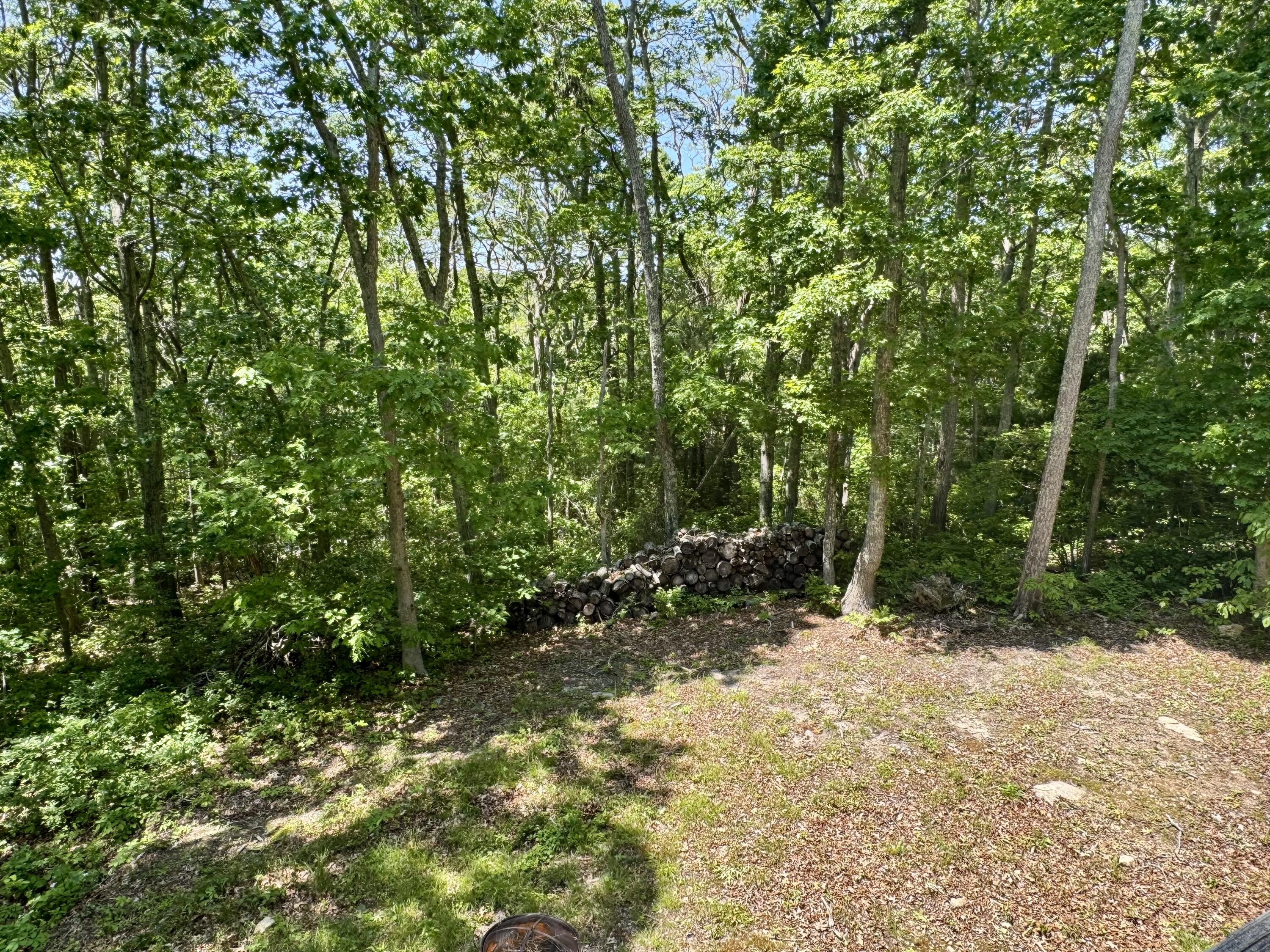 21 Braeside Road Falmouth, MA 02540 - Photo 36 of 43 IMG_0934