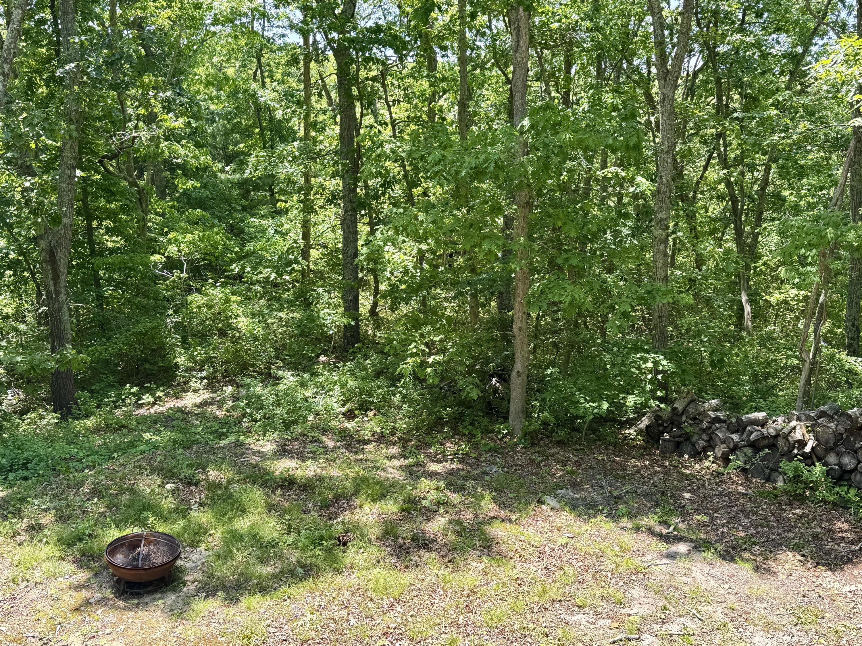 21 Braeside Road Falmouth, MA 02540 - Photo 37 of 43 a view of an outdoor space and a yard