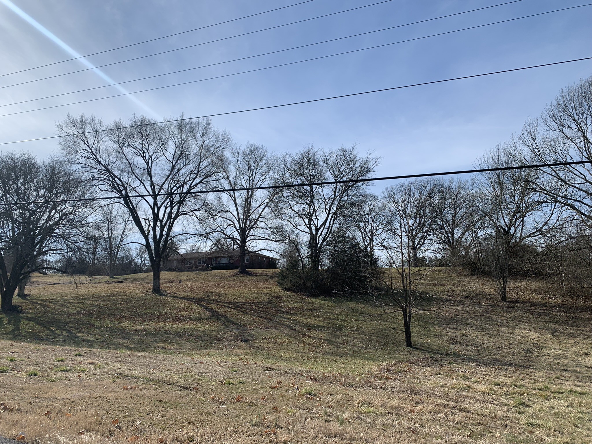 454 Canoe Branch Road Castalian Springs, TN 37031 - Photo 1 of 40 a view of a yard with a tree
