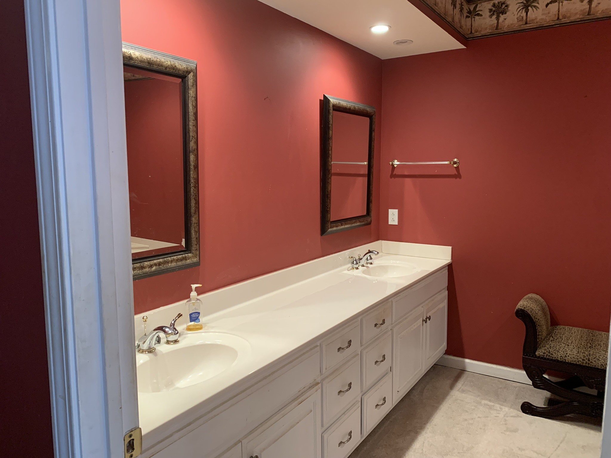 454 Canoe Branch Road Castalian Springs, TN 37031 - Photo 13 of 40 a bathroom with a double vanity sink and a mirror