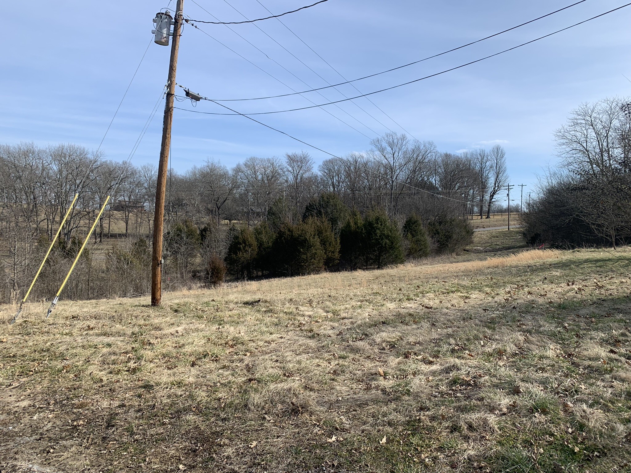 454 Canoe Branch Road Castalian Springs, TN 37031 - Photo 30 of 40 a backyard of a house with lots of trees